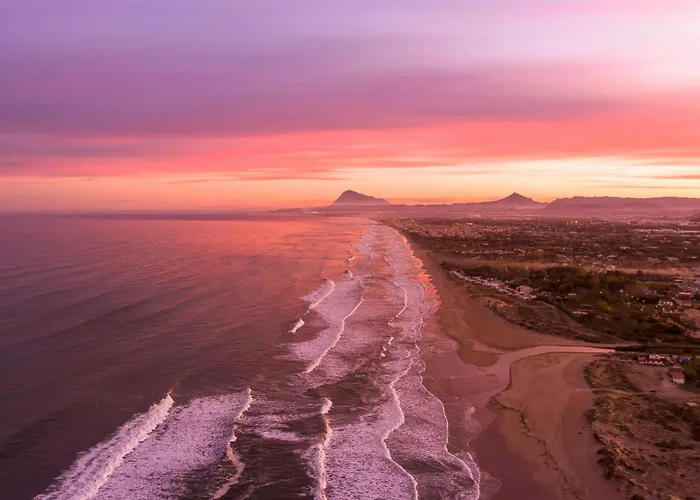 Areca By On Travel Oliva